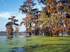 Atchafalaya Basin, Louisiana